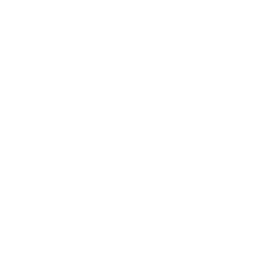 MT Steak
